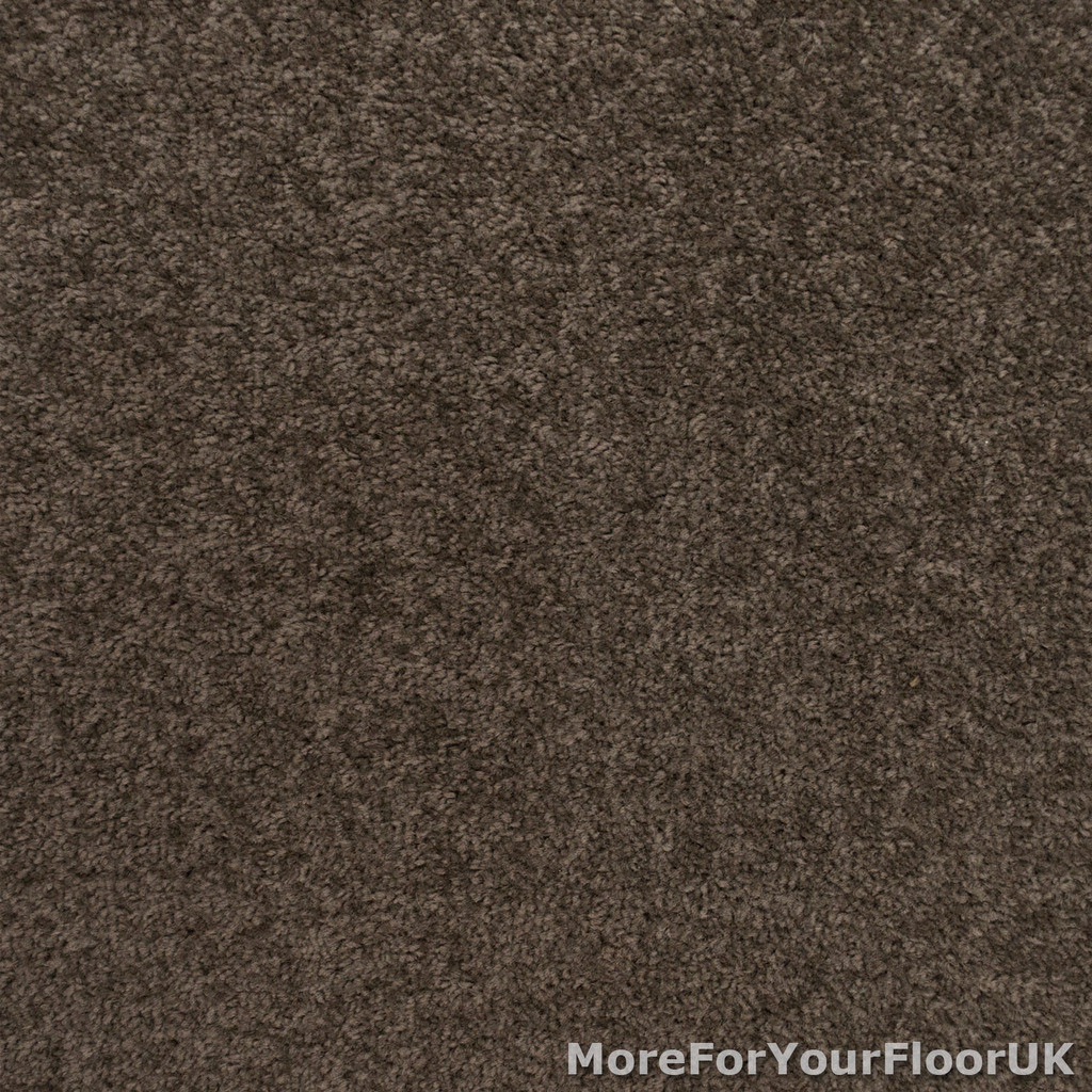 Dark Grey Brown Feltback Twist Carpet Great Value Bedroom Lounge Hall