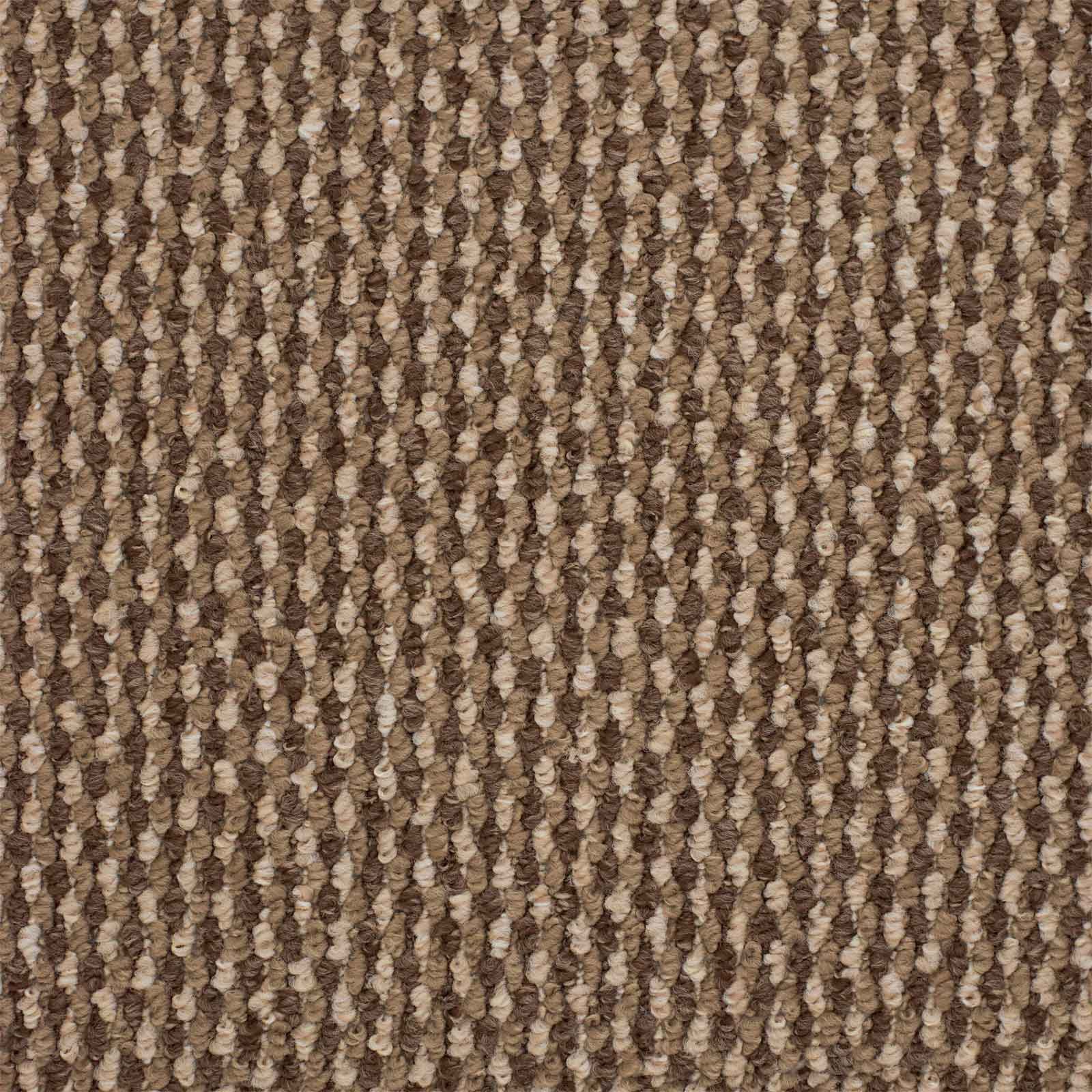 Brown Carpet Cheap Brown Carpets Loop Twist & Saxony Pile Brown Carpets