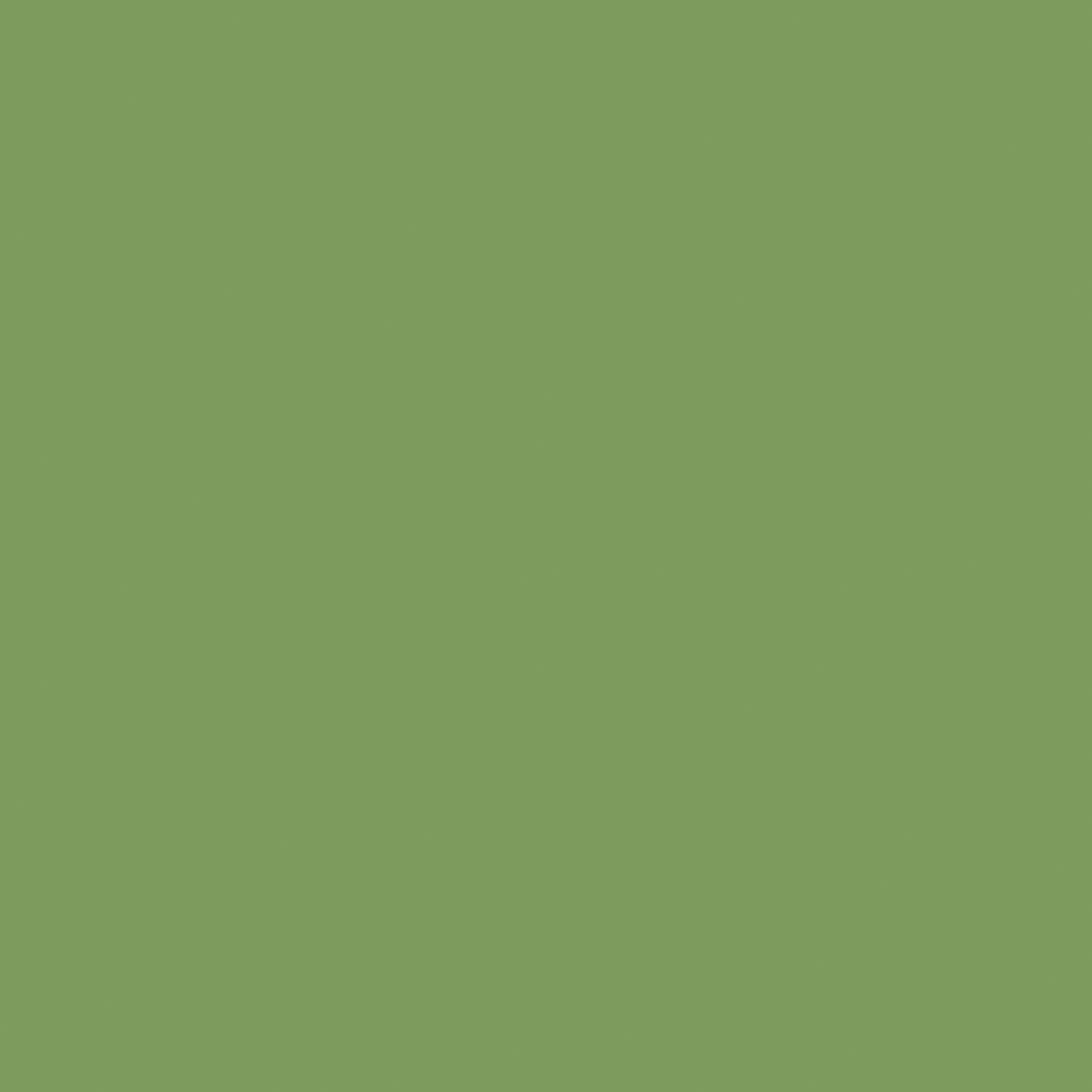 Leaf Green Plain Coloured Vinyl Flooring, Rich Colour Cheap Lino 2m 3m